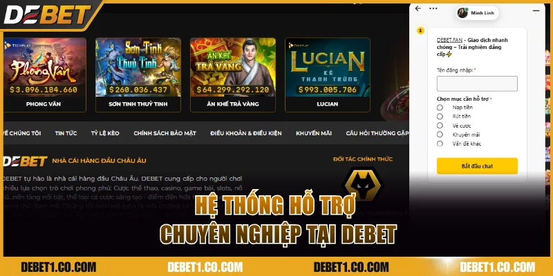 Hệ thống hỗ trợ chuyên nghiệp tại DEBET